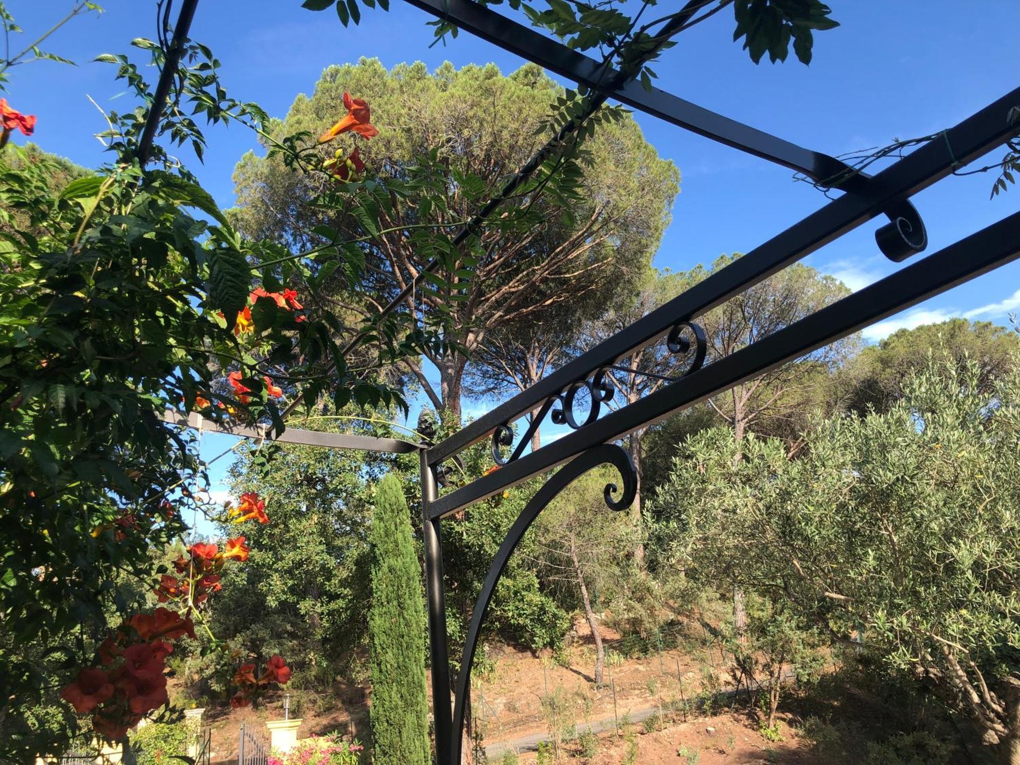 Sous Les Pins Parasols Vidauban Exterior foto