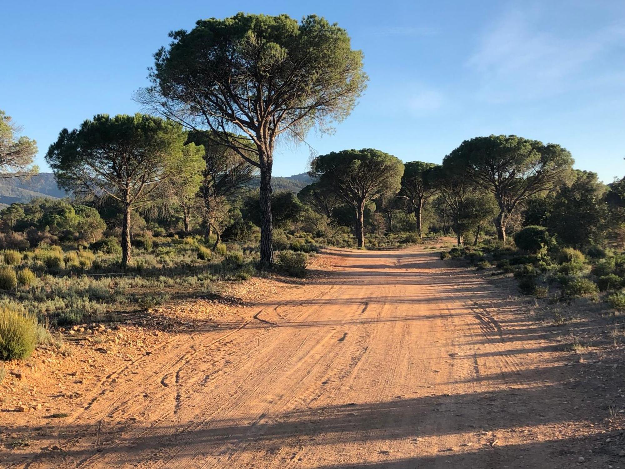 Sous Les Pins Parasols Vidauban Exterior foto