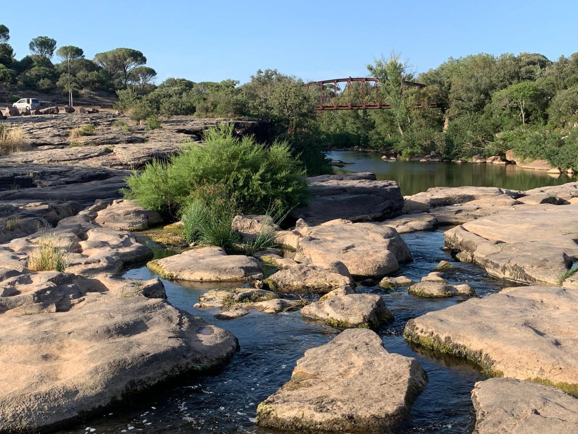 Sous Les Pins Parasols Vidauban Exterior foto