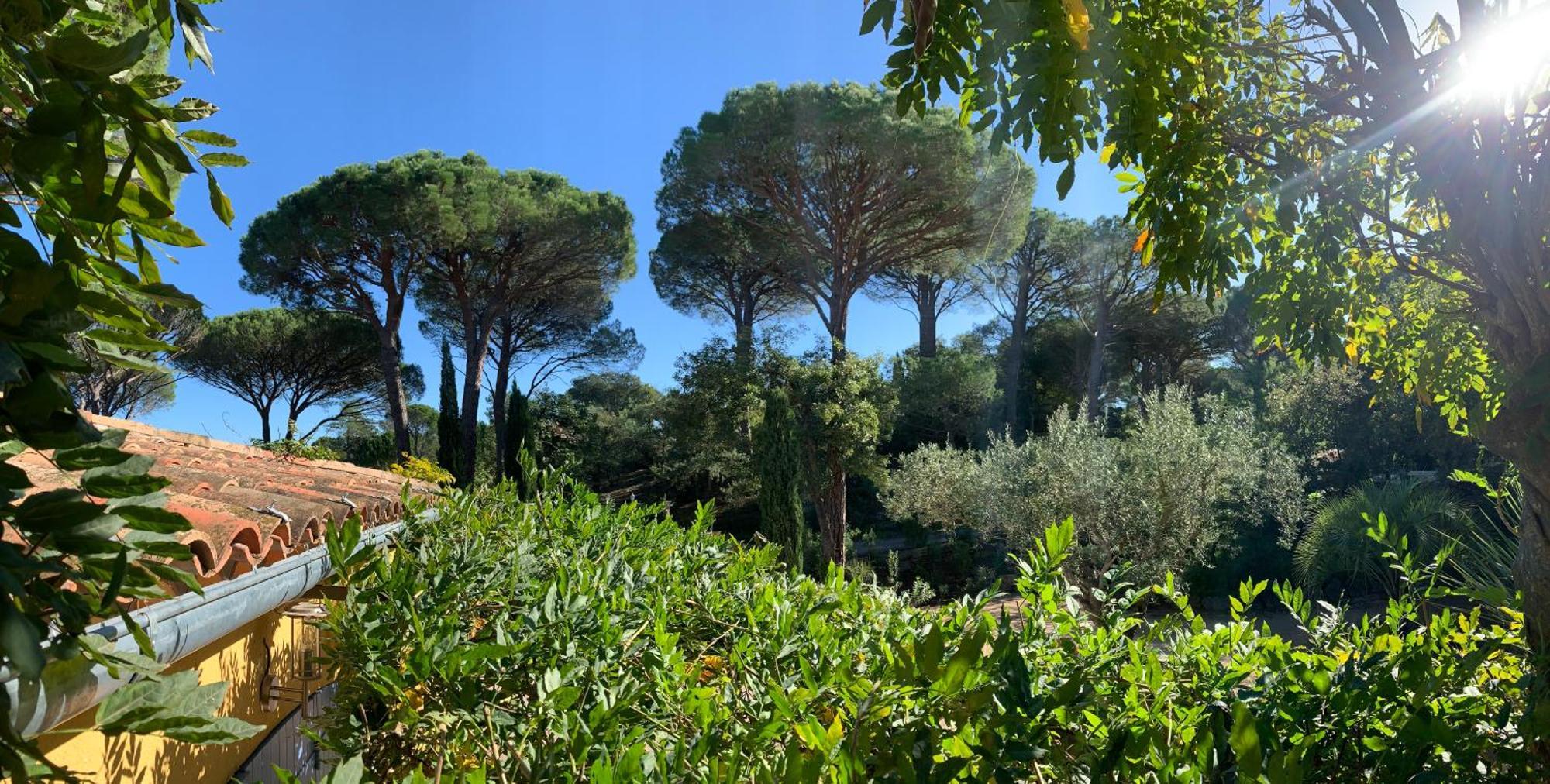 Sous Les Pins Parasols Vidauban Exterior foto
